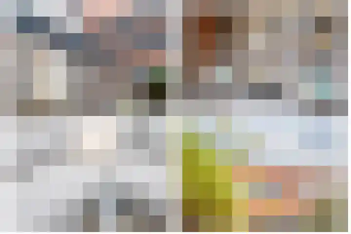 Componistenlaan 69 Gouda thumbnail 41
