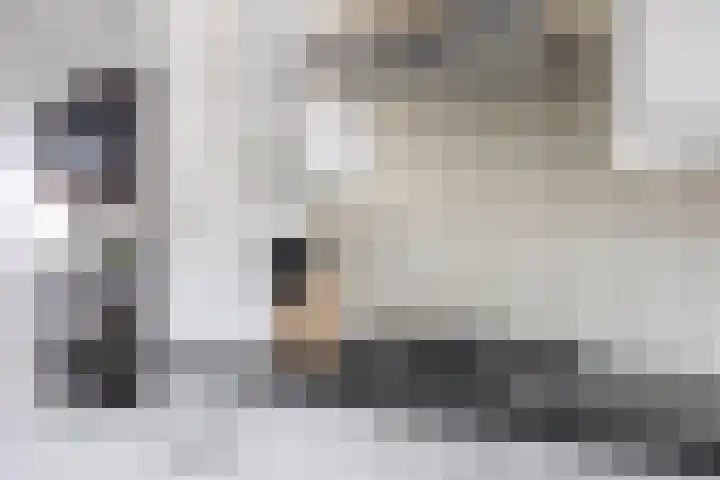 Componistenlaan 84 Gouda thumbnail 25