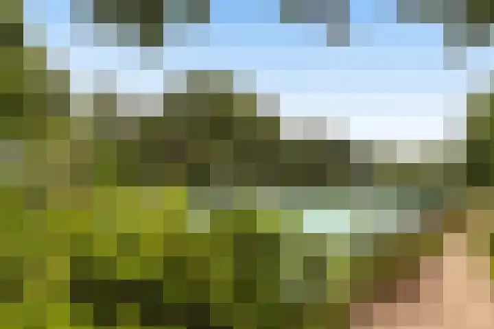 Componistenlaan 84 Gouda thumbnail 47