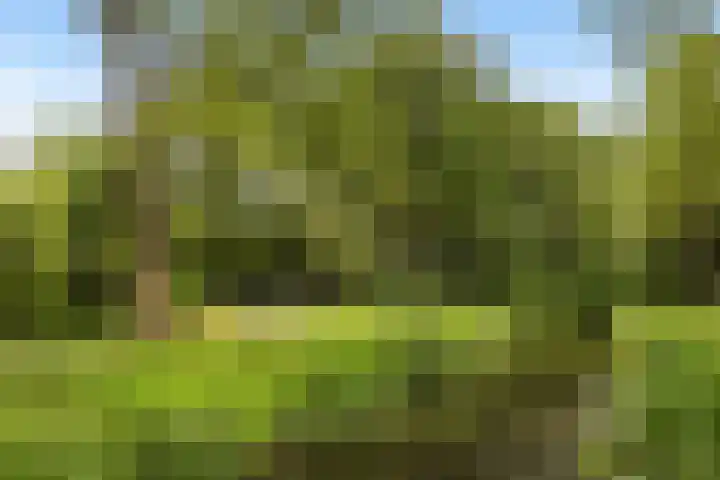 Componistenlaan 84 Gouda thumbnail 49