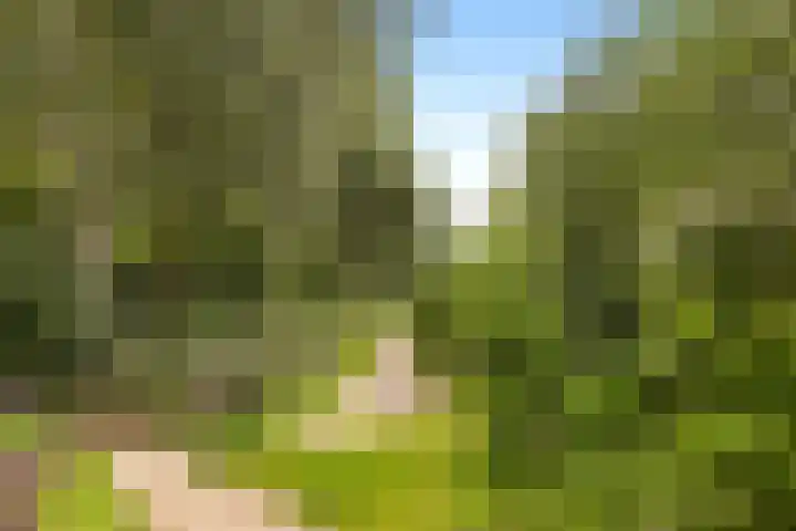Componistenlaan 84 Gouda thumbnail 51