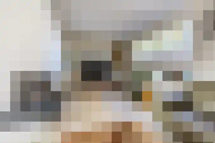 Componistenpad 11 Hellevoetsluis thumbnail 4