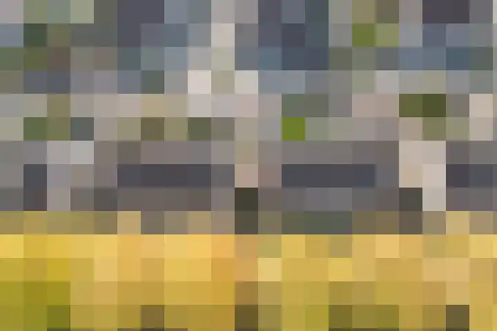 Componistenpad 11 Hellevoetsluis thumbnail 41
