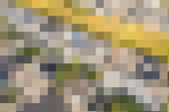 Componistenpad 11 Hellevoetsluis thumbnail 45