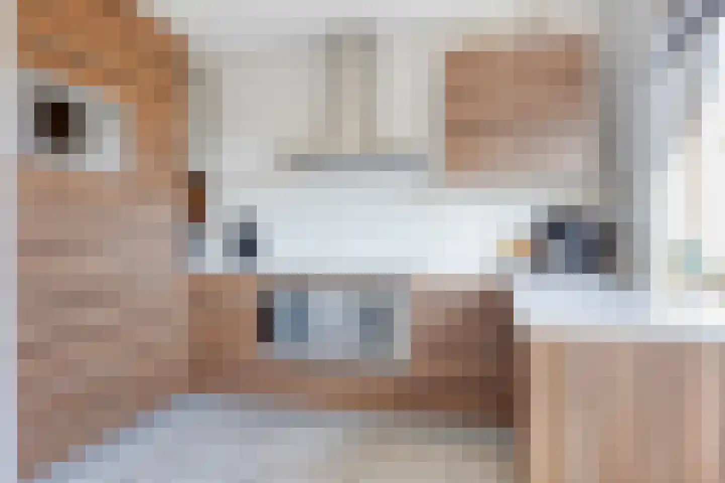 Componistenpad 4 Hellevoetsluis thumbnail 17