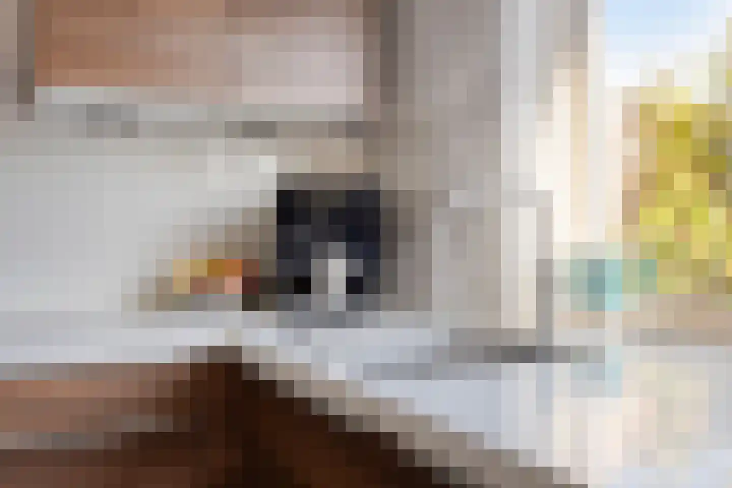 Componistenpad 4 Hellevoetsluis thumbnail 18