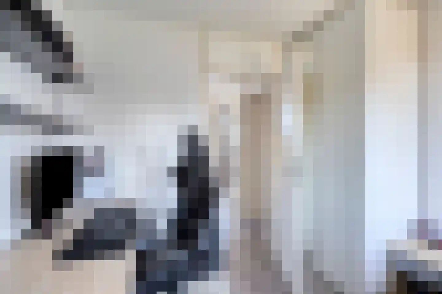 Componistenpad 4 Hellevoetsluis thumbnail 32