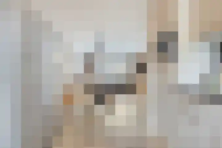 Componistensingel 29 Veenendaal thumbnail 12