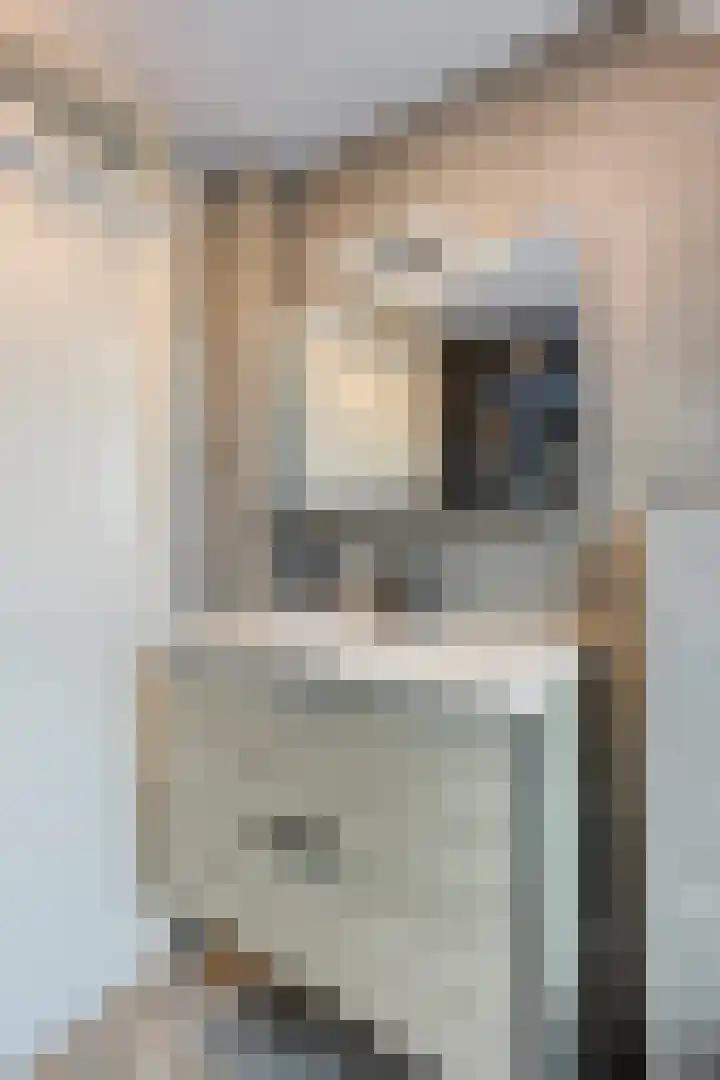 Componistensingel 29 Veenendaal thumbnail 20
