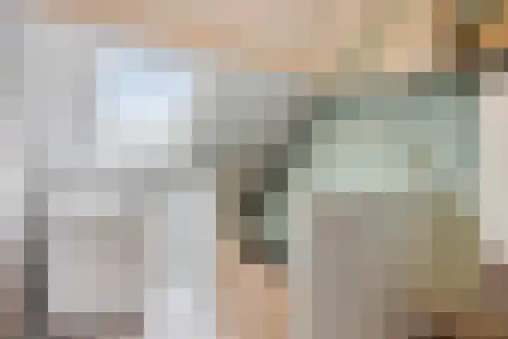 Componistensingel 29 Veenendaal thumbnail 23