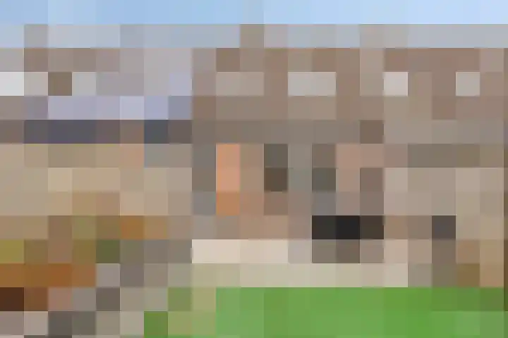 Componistensingel 29 Veenendaal thumbnail 25