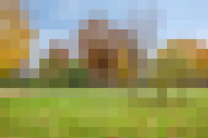 Componistensingel 29 Veenendaal thumbnail 30