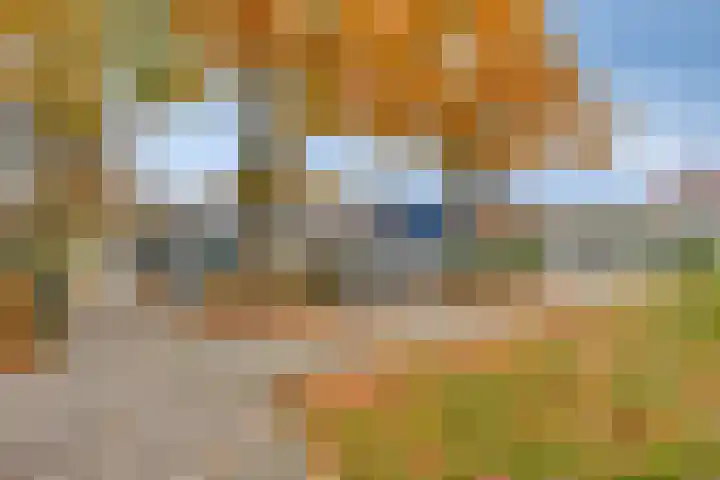 Componistensingel 29 Veenendaal thumbnail 31