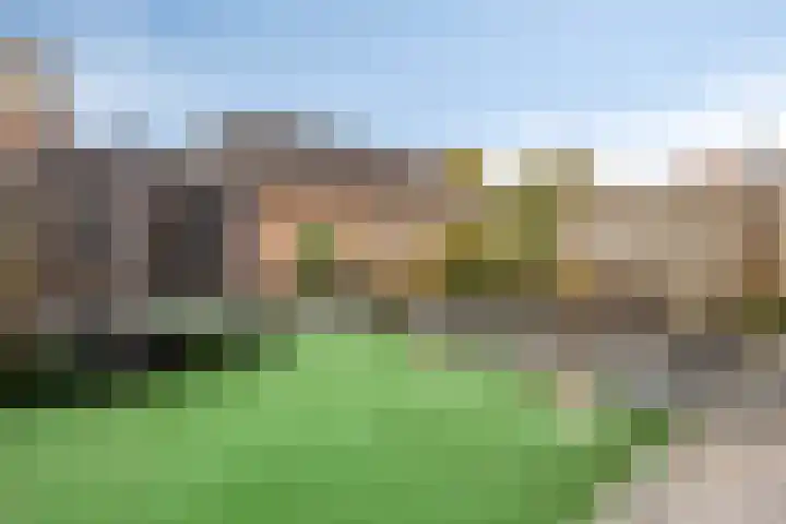 Componistensingel 29 Veenendaal thumbnail 5