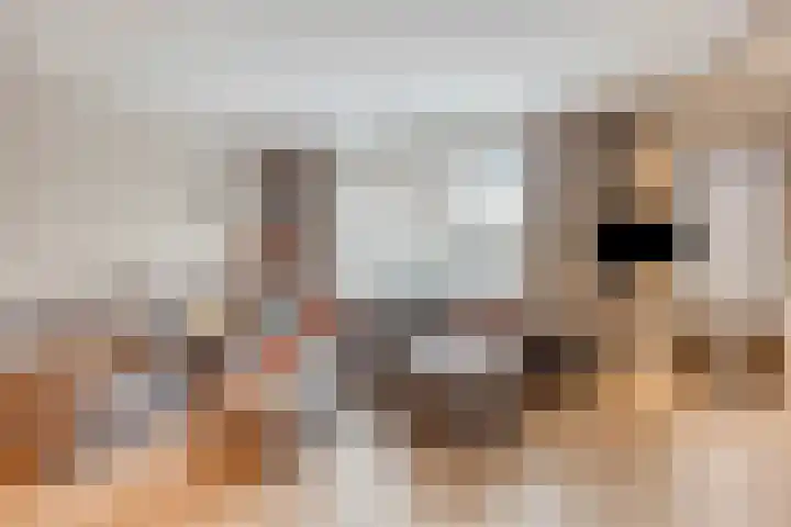 Componistensingel 29 Veenendaal thumbnail 8