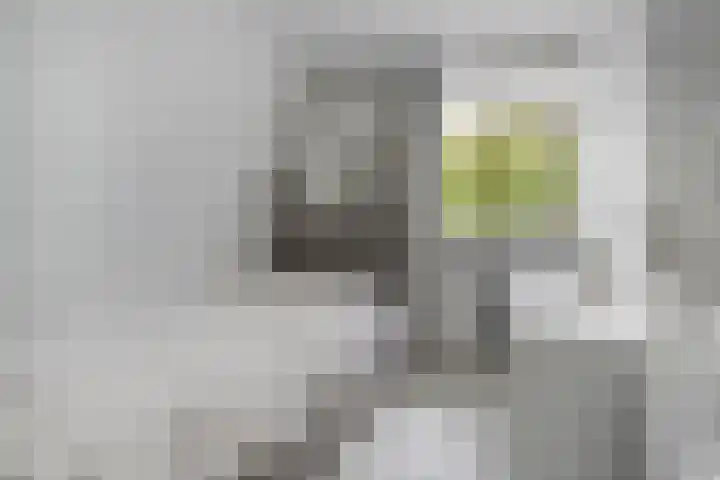 Componistensingel 33 Veenendaal thumbnail 21