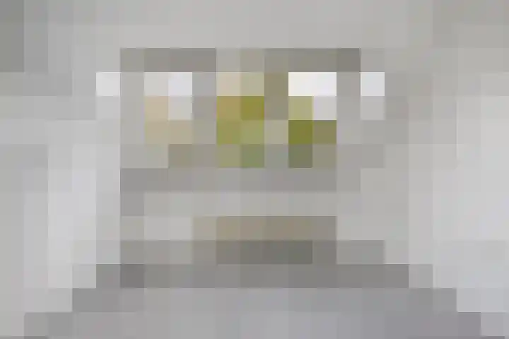 Componistensingel 33 Veenendaal thumbnail 28