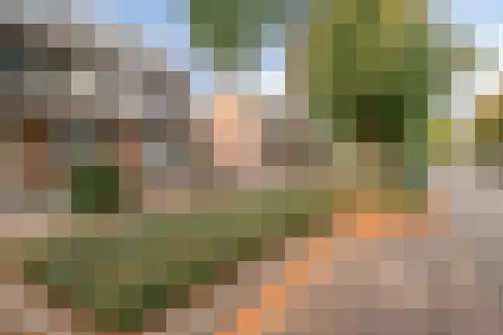Componistensingel 33 Veenendaal thumbnail 35