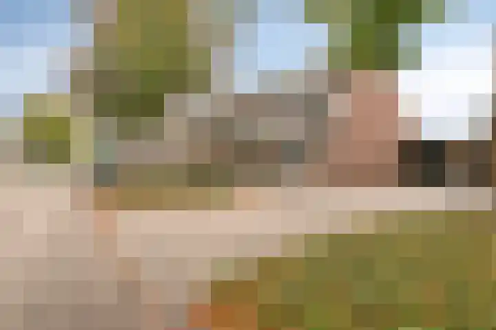 Componistensingel 33 Veenendaal thumbnail 36