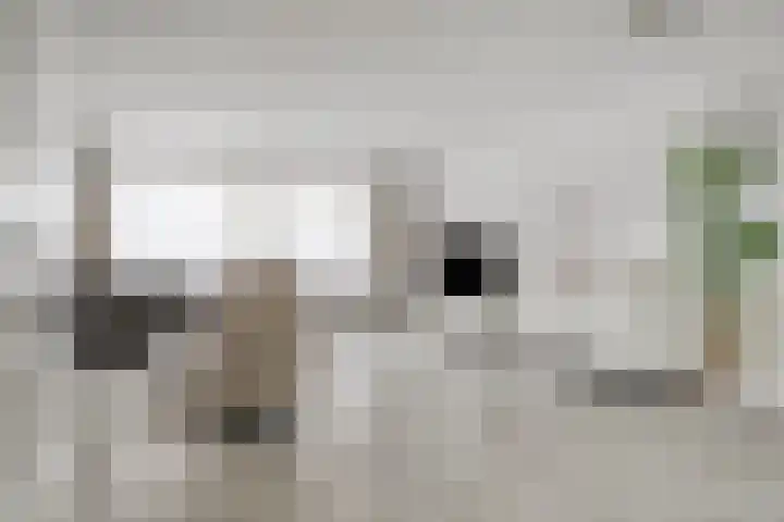 Componistensingel 33 Veenendaal thumbnail 8