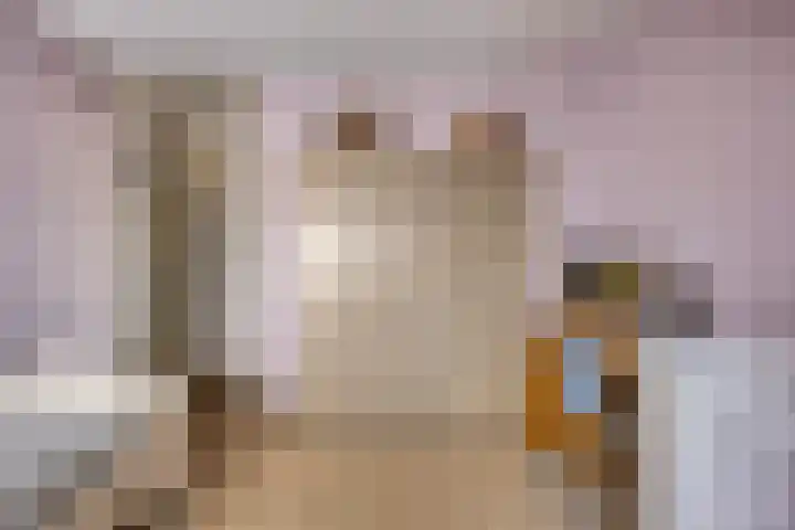 Componistensingel 38 Veenendaal thumbnail 30