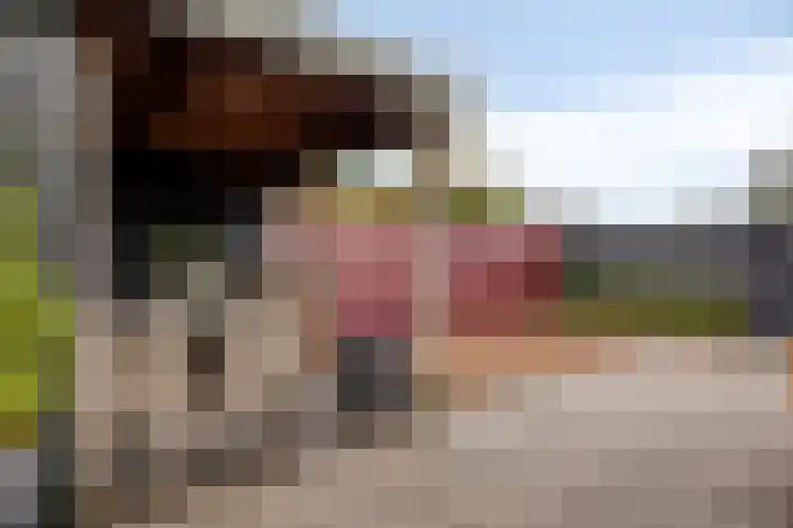 Componistensingel 38 Veenendaal thumbnail 39