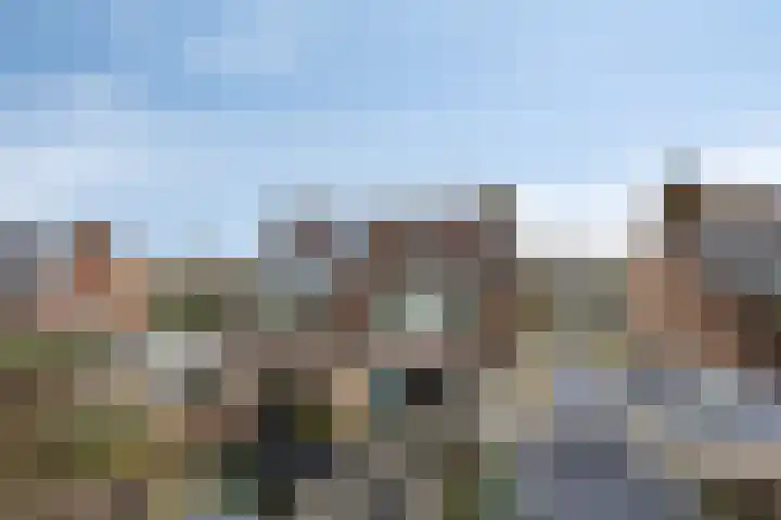 Componistensingel 38 Veenendaal thumbnail 45