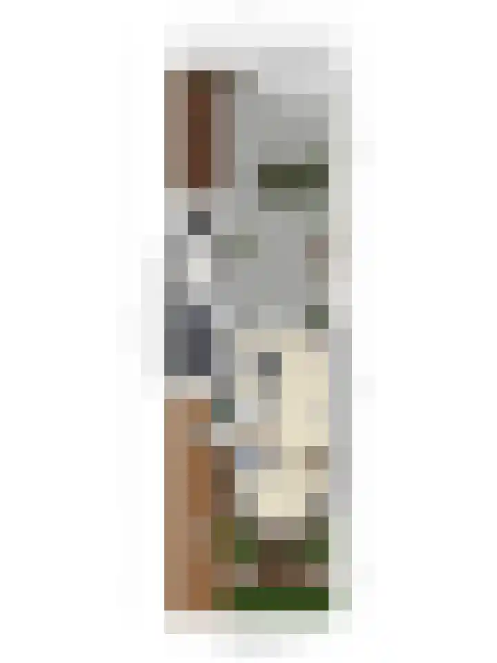 Componistensingel 38 Veenendaal thumbnail 56