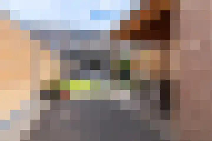Componistensingel 7 Veenendaal thumbnail 27
