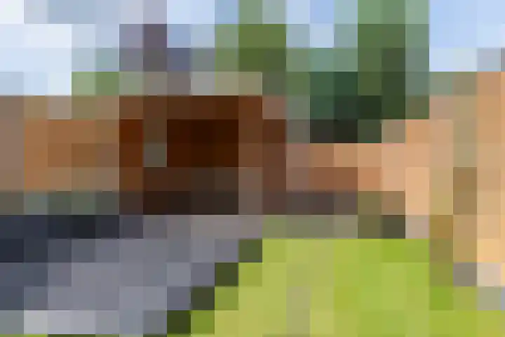 Componistensingel 7 Veenendaal thumbnail 28