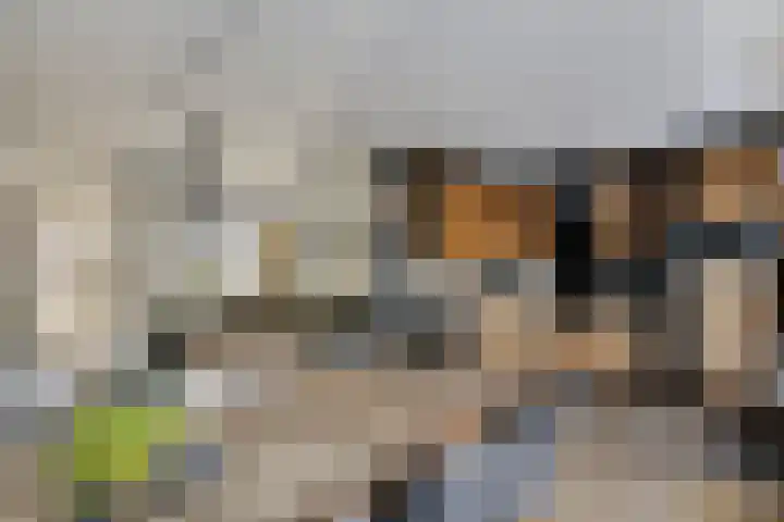 Componistensingel 71 Veenendaal thumbnail 13