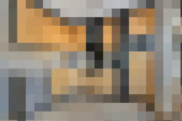 Componistensingel 71 Veenendaal thumbnail 15