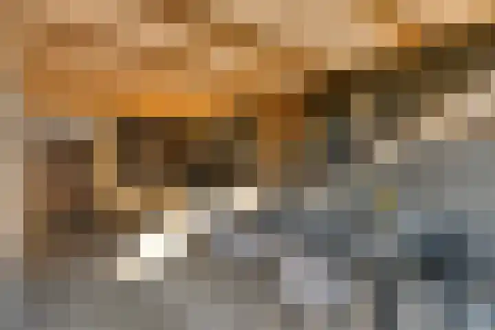Componistensingel 71 Veenendaal thumbnail 35