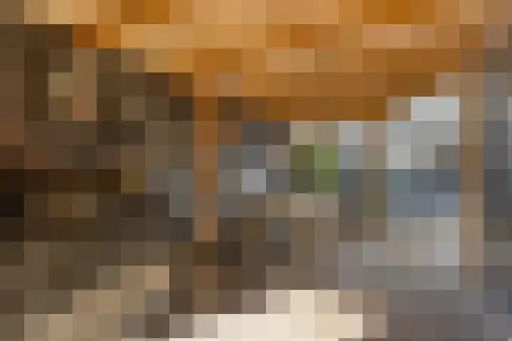 Componistensingel 71 Veenendaal thumbnail 36