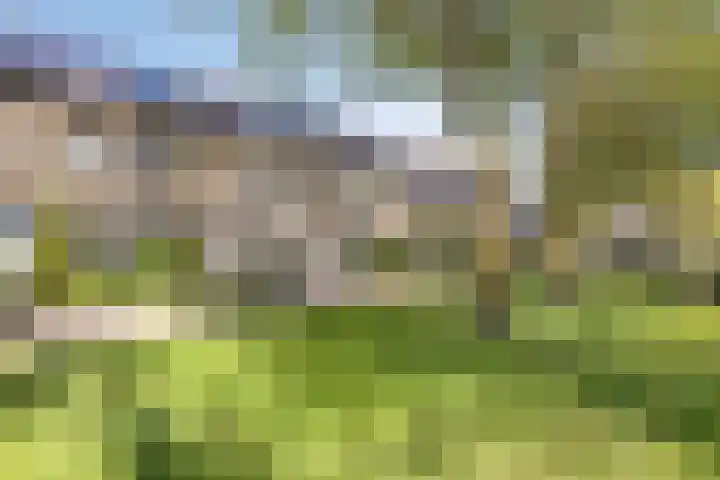 Componistensingel 71 Veenendaal thumbnail 39