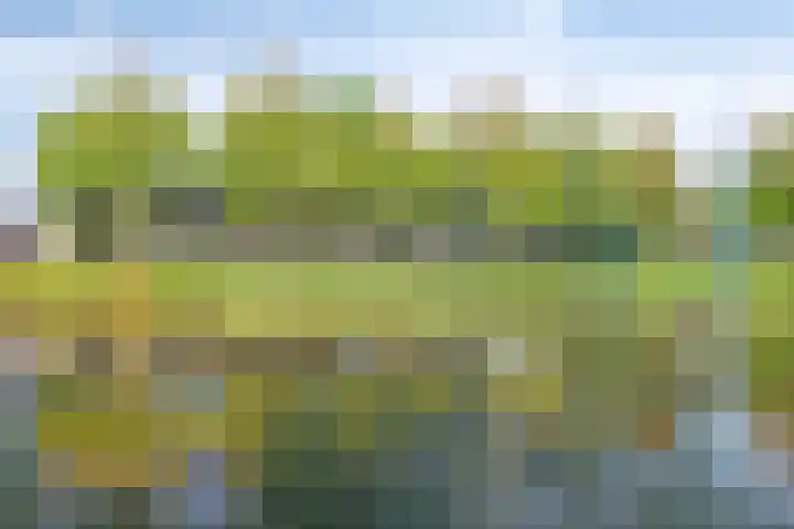 Componistensingel 71 Veenendaal thumbnail 40