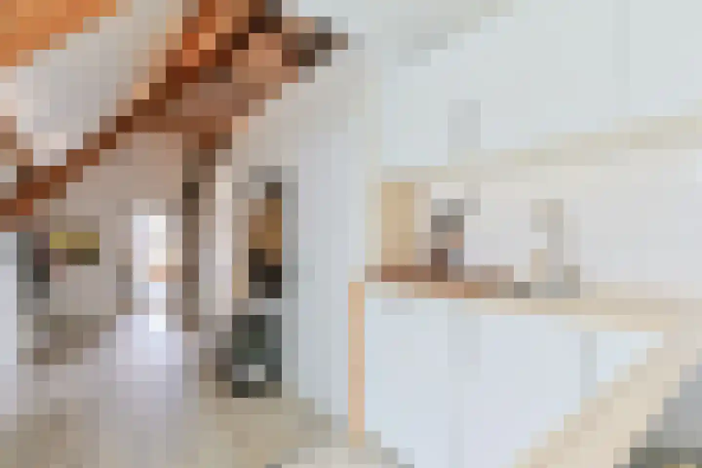 Comriekade 11 c Woubrugge thumbnail 10