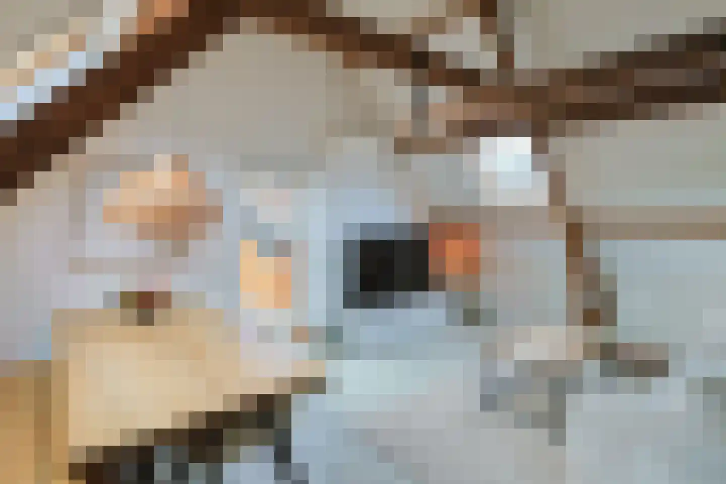 Comriekade 11 c Woubrugge thumbnail 13