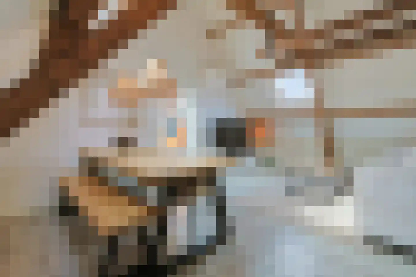 Comriekade 11 c Woubrugge thumbnail 14