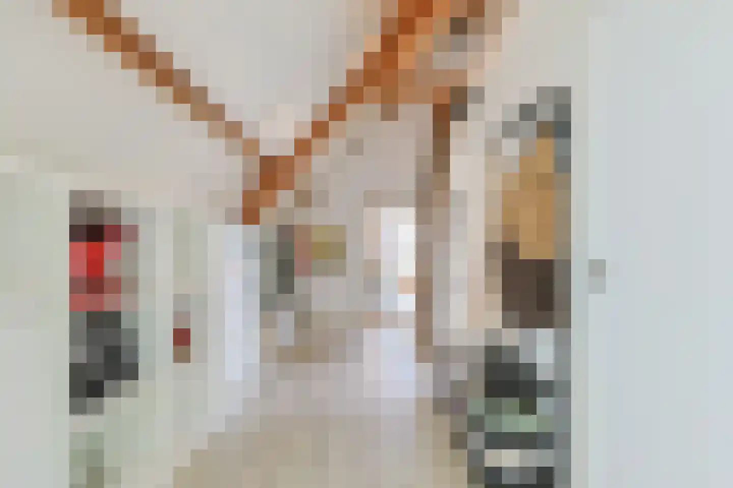 Comriekade 11 c Woubrugge thumbnail 5