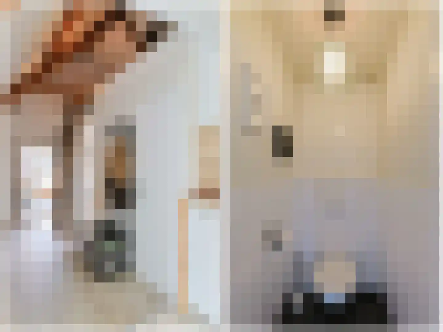 Comriekade 11 c Woubrugge thumbnail 7