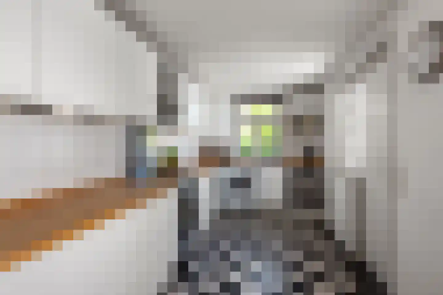 Comriekade 14 Woubrugge thumbnail 19