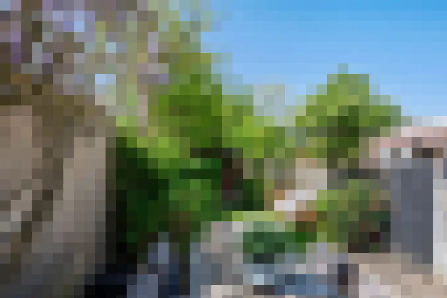 Comriekade 14 Woubrugge thumbnail 24