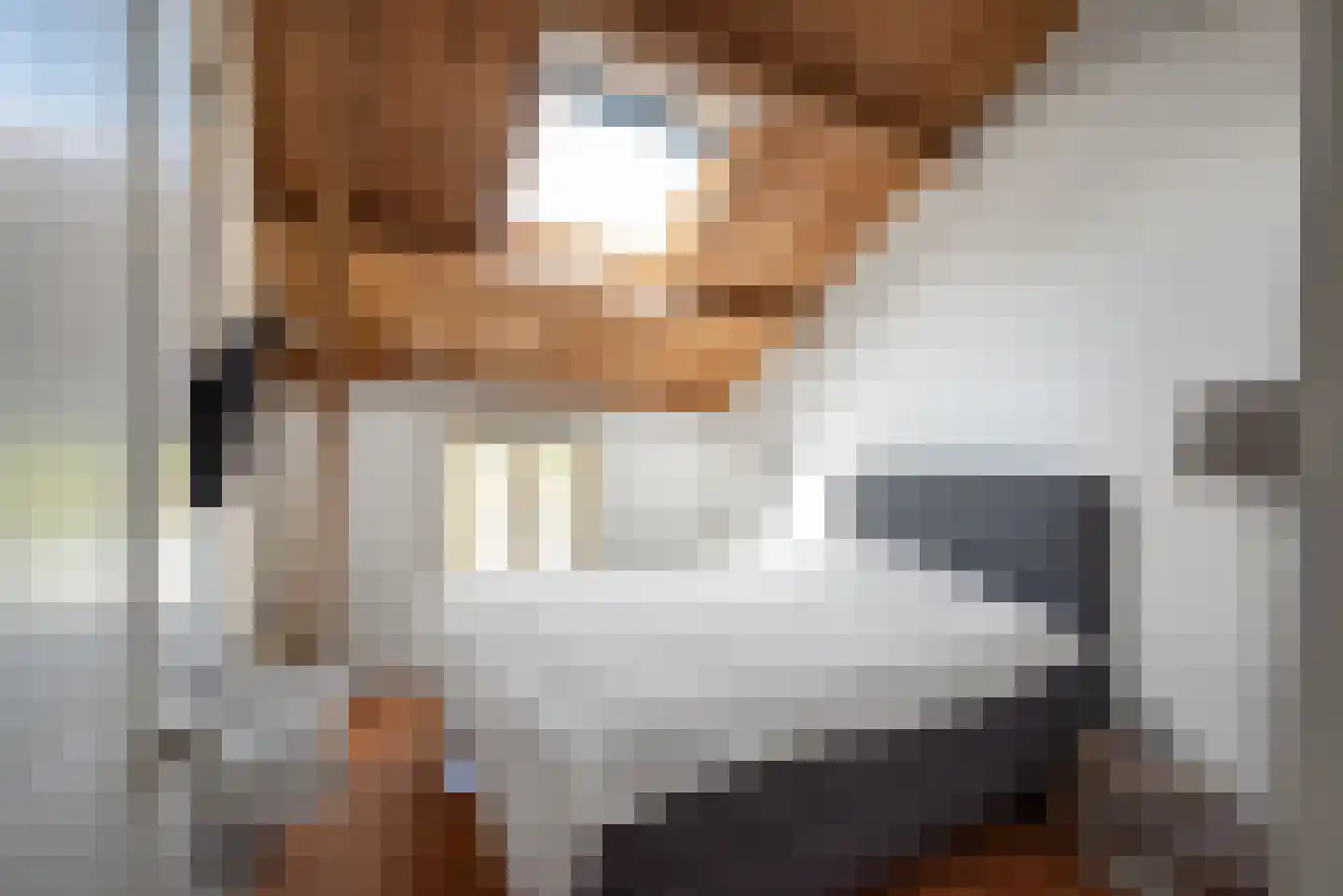 Comriekade 14 Woubrugge thumbnail 41