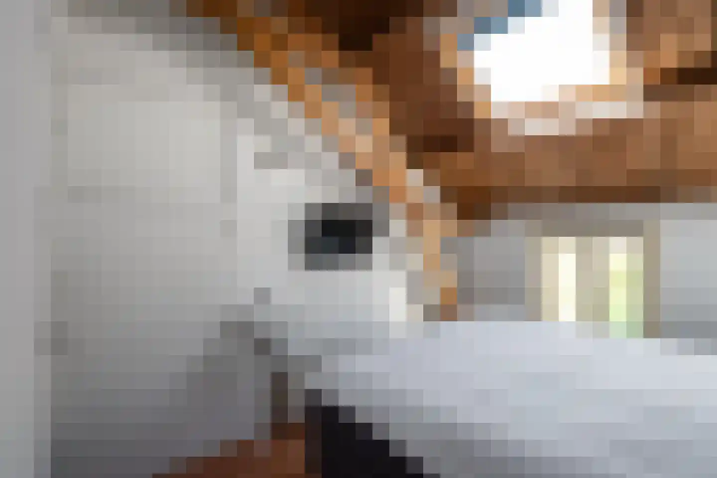Comriekade 14 Woubrugge thumbnail 42