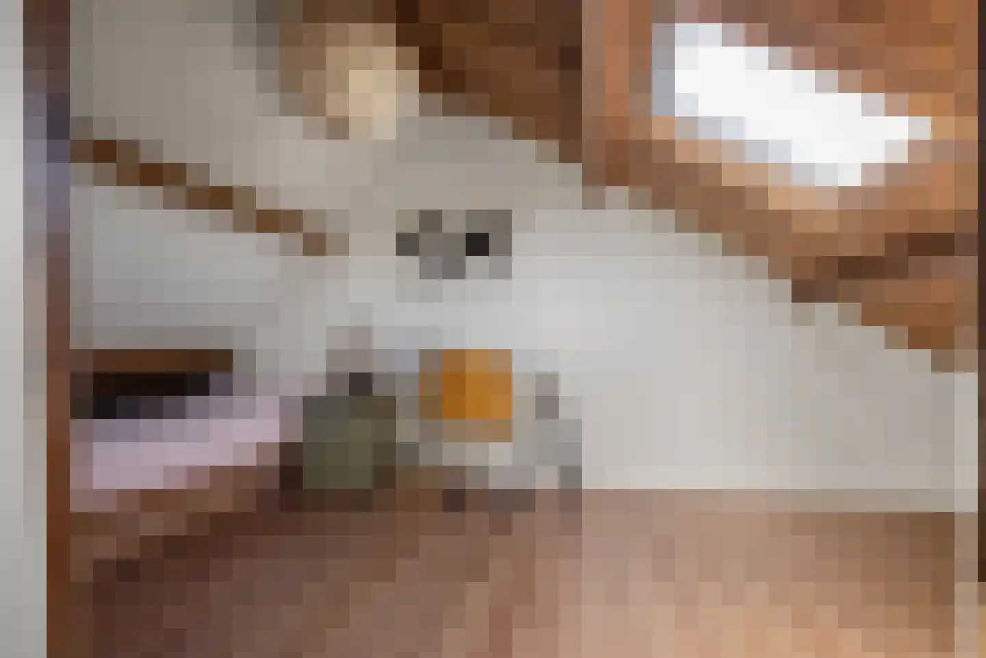 Comriekade 14 Woubrugge thumbnail 45