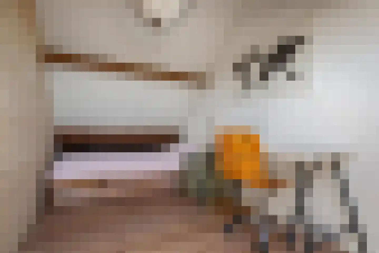 Comriekade 14 Woubrugge thumbnail 46