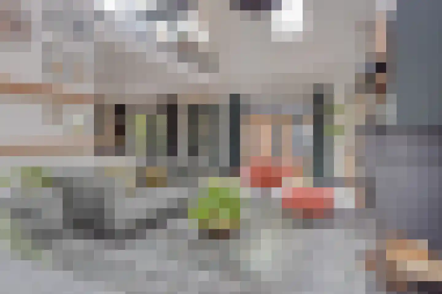 Comriekade 37 Woubrugge thumbnail 11