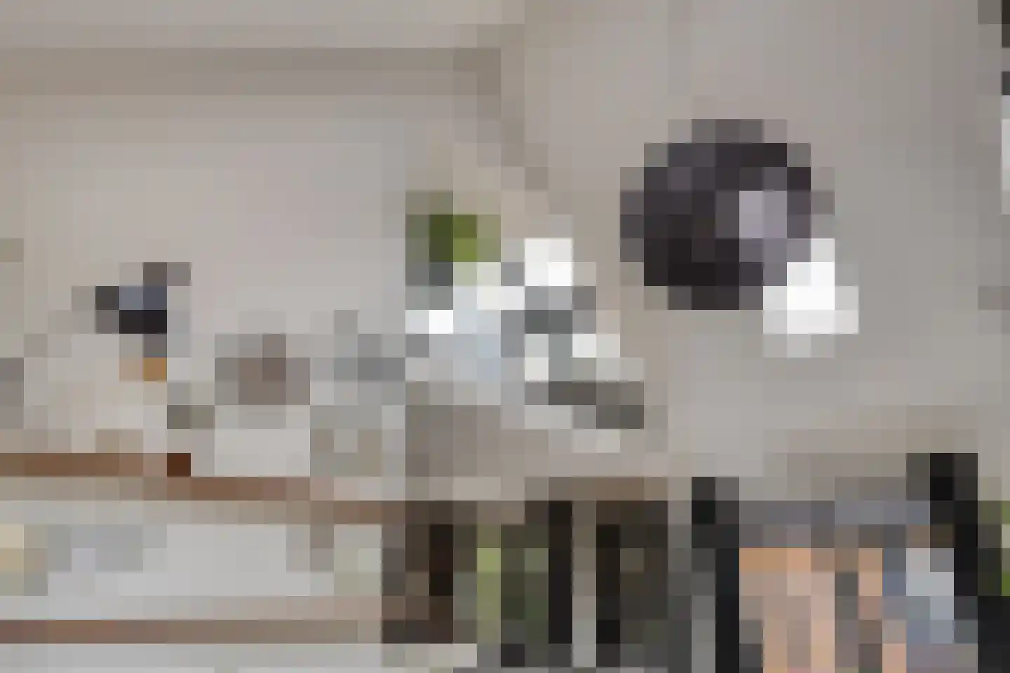 Comriekade 37 Woubrugge thumbnail 15