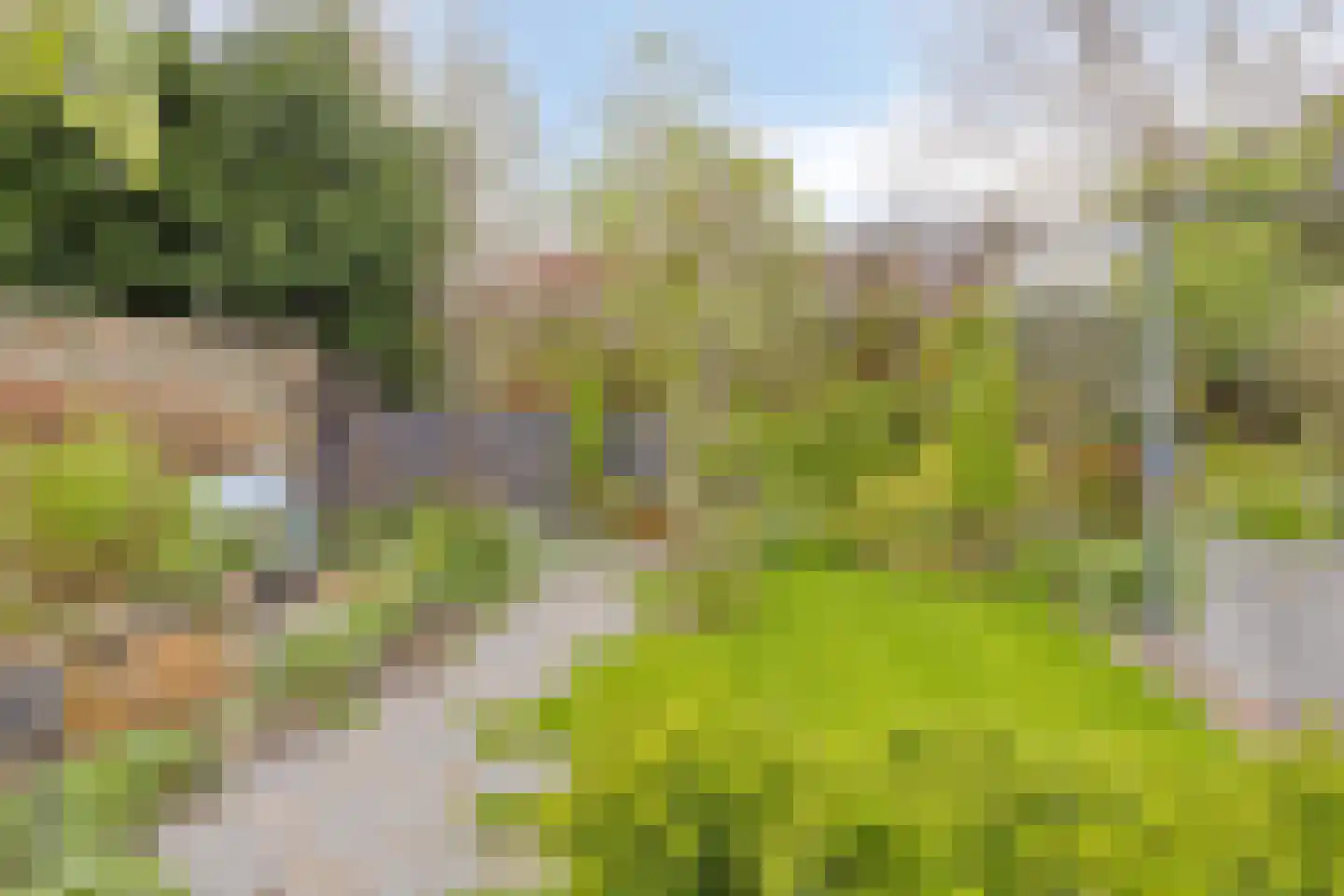 Comriekade 37 Woubrugge thumbnail 34